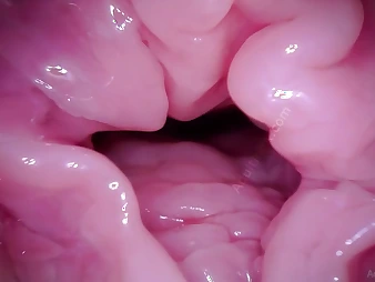 Watch Muff Coaster's Labia win a camera up POV - A hymen amulet video!